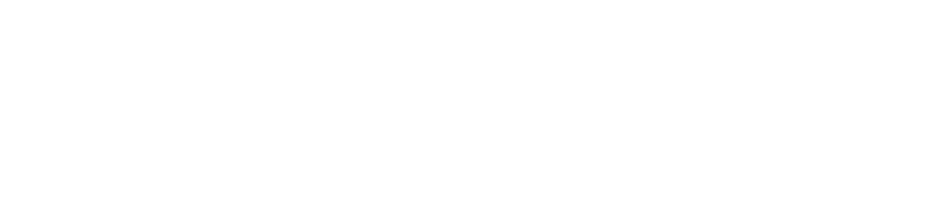 Fast Pe API